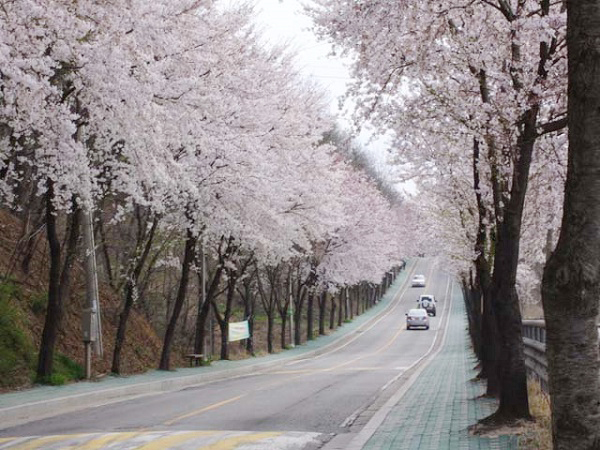 부락산둘레길_온.jpg